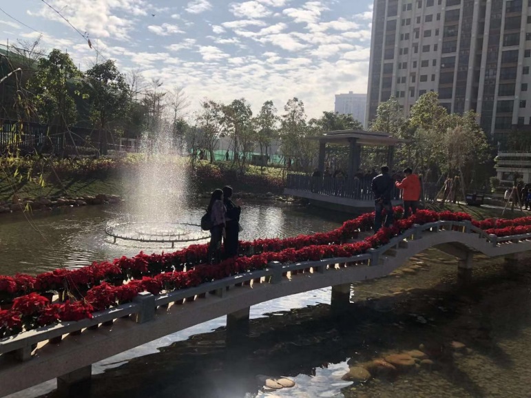 WeChat 圖片_20190109112434.jpg